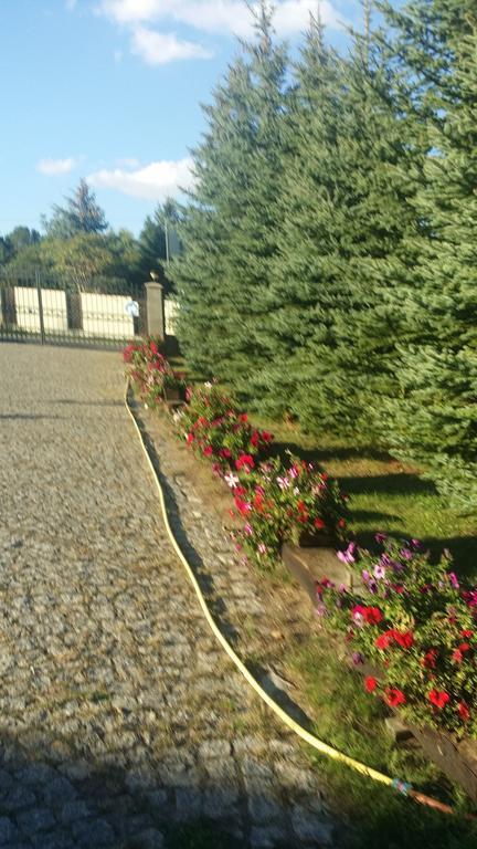 Gosciniec Sloneczny Hotel Drzonkow Ngoại thất bức ảnh